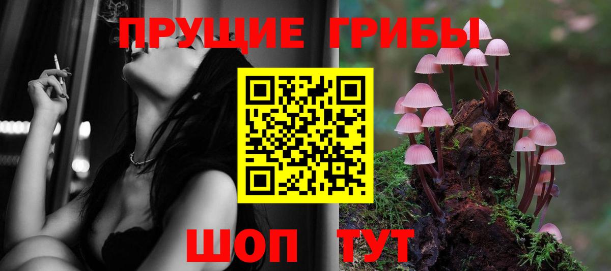Моздок  Галлюциногенные грибы мухоморы  как найти закладки  Вход с VPN 