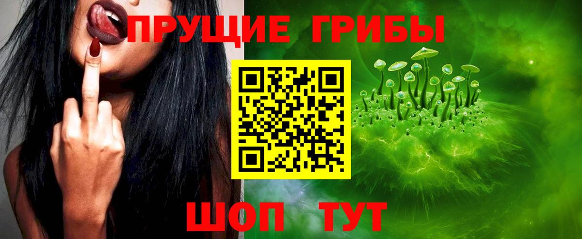 Псилоцибиновые грибы ЛСД Моздок